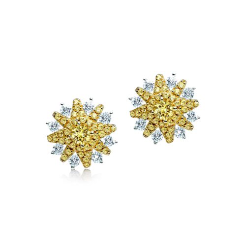 Sahara Iconic Yellow Earrings