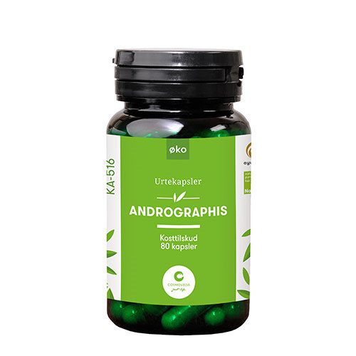 Andrographis Ø