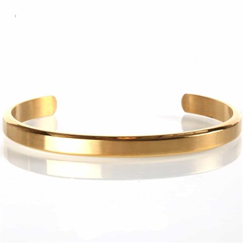 Nate bangle rustfri stål golden